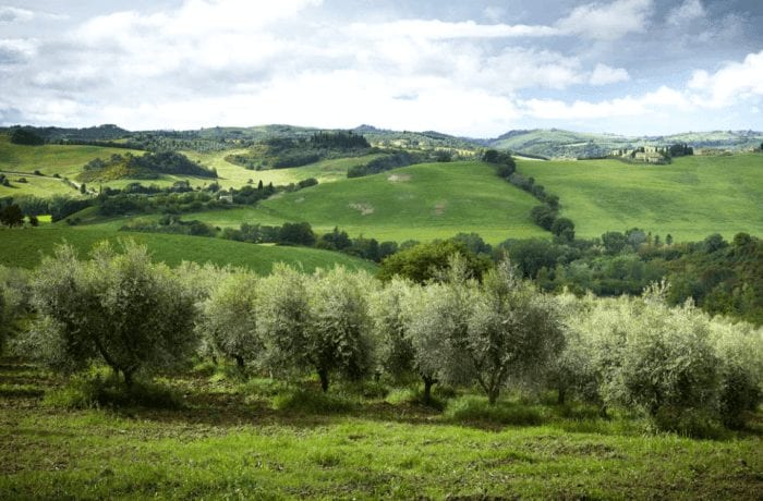 Chianti, Val d'Orcia & Co. – The Tuscan Hills